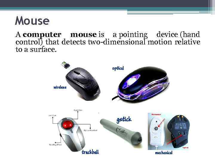 Mouse A computer mouse is a pointing device (hand control) that detects two-dimensional motion