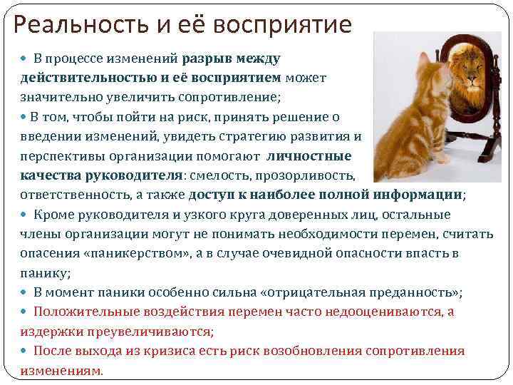 Реальность и её восприятие В процессе изменений разрыв между действительностью и её восприятием может