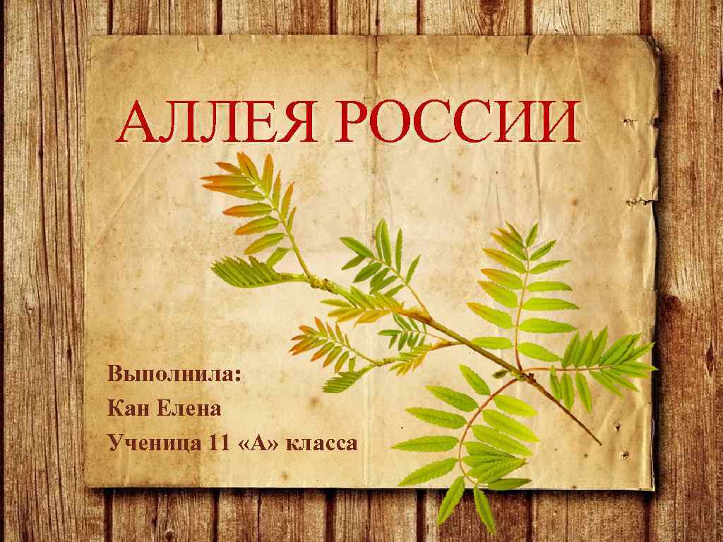 АЛЛЕЯ РОССИИ Выполнила: Кан Елена Ученица 11 «А» класса 