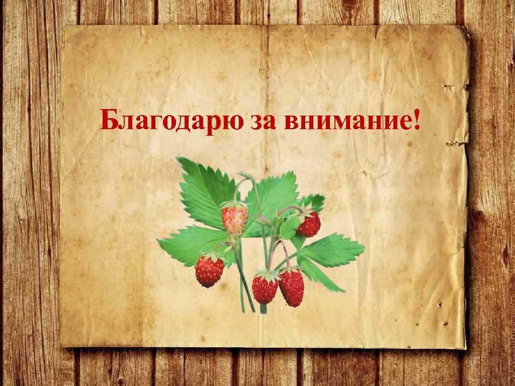 Благодарю за внимание! 