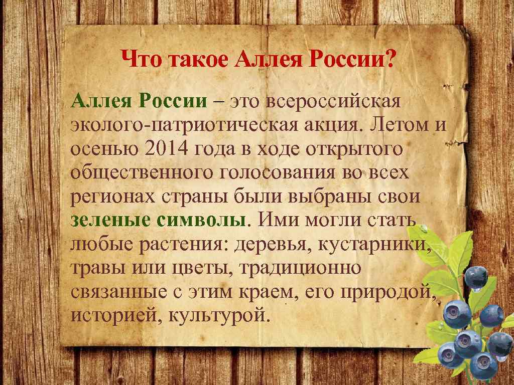 Что такое Аллея России? Аллея России – это всероссийская эколого-патриотическая акция. Летом и осенью