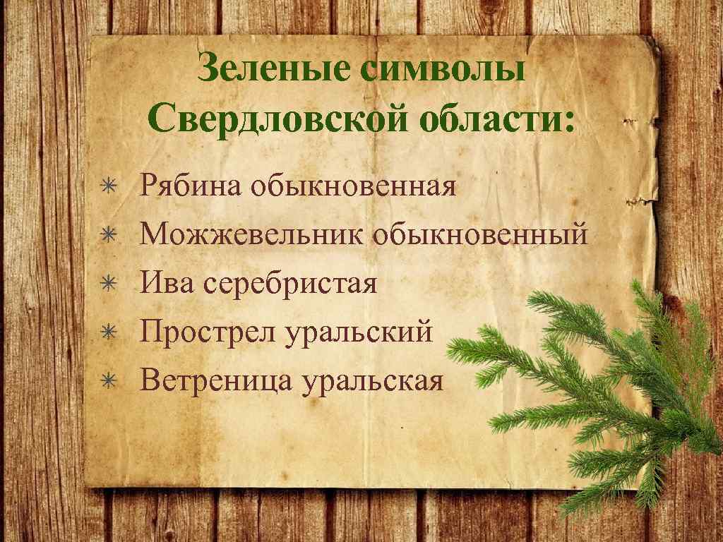 Зеленые символы Свердловской области: Рябина обыкновенная Можжевельник обыкновенный Ива серебристая Прострел уральский Ветреница уральская