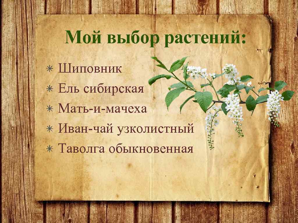 Выбор растений