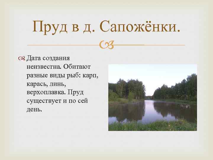Пруд в д. Сапожёнки. Дата создания неизвестна. Обитают разные виды рыб: карп, карась, линь,