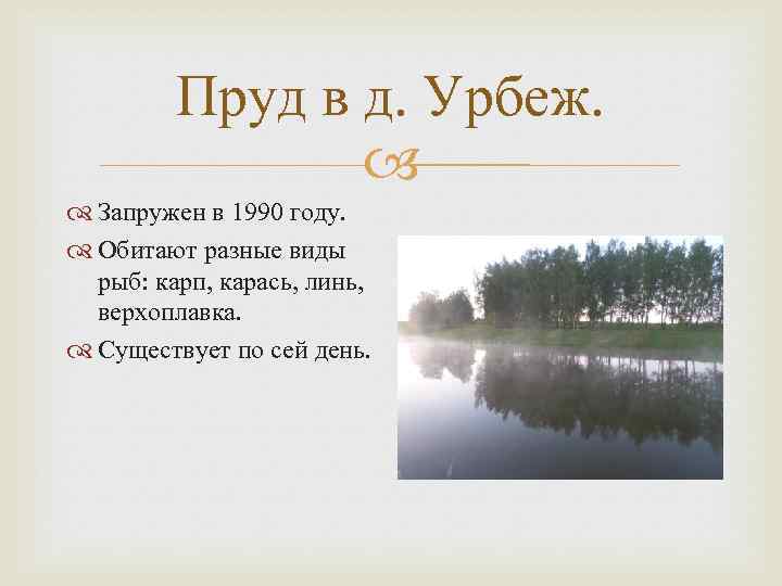 Пруд в д. Урбеж. Запружен в 1990 году. Обитают разные виды рыб: карп, карась,