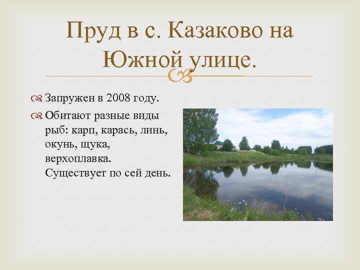 Пруд в с. Казаково на Южной улице. Запружен в 2008 году. Обитают разные виды