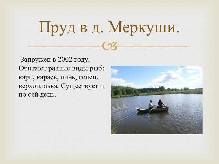 Пруд в д. Меркуши. Запружен в 2002 году. Обитают разные виды рыб: карп, карась,
