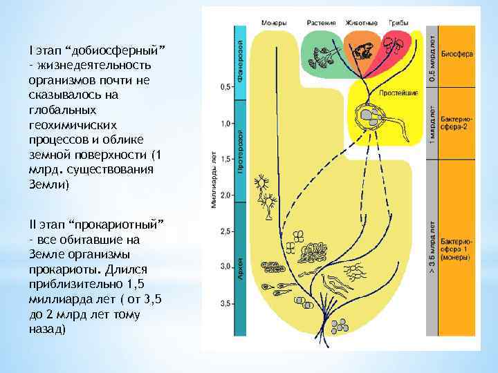 I этап “добиосферный” – жизнедеятельность организмов почти не сказывалось на глобальных геохимичиских процессов и