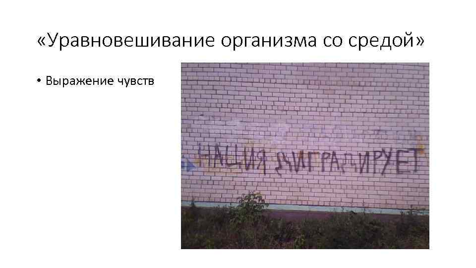  «Уравновешивание организма со средой» • Выражение чувств 