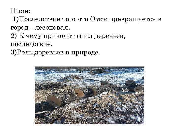 План: 1)Последствие того что Омск превращается в город - лесоповал. 2) К чему приводит