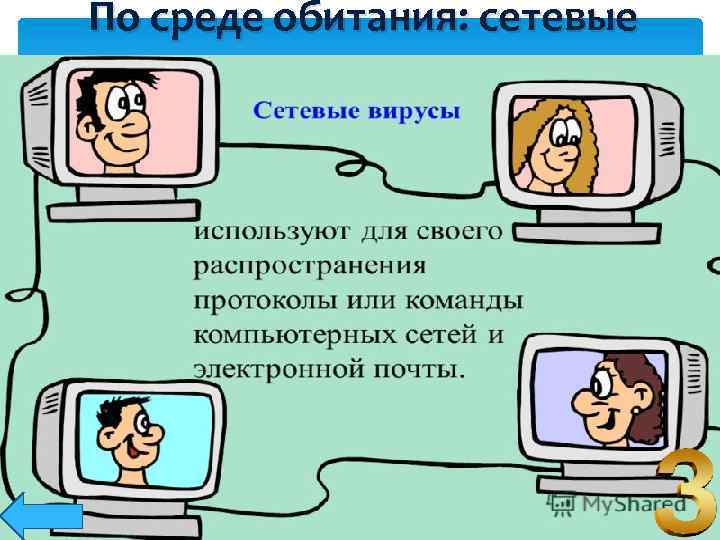 По среде обитания: сетевые 