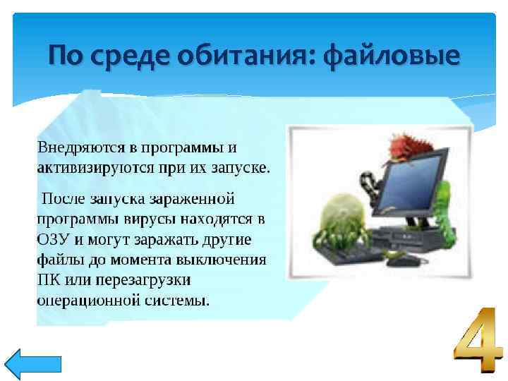 По среде обитания: файловые 