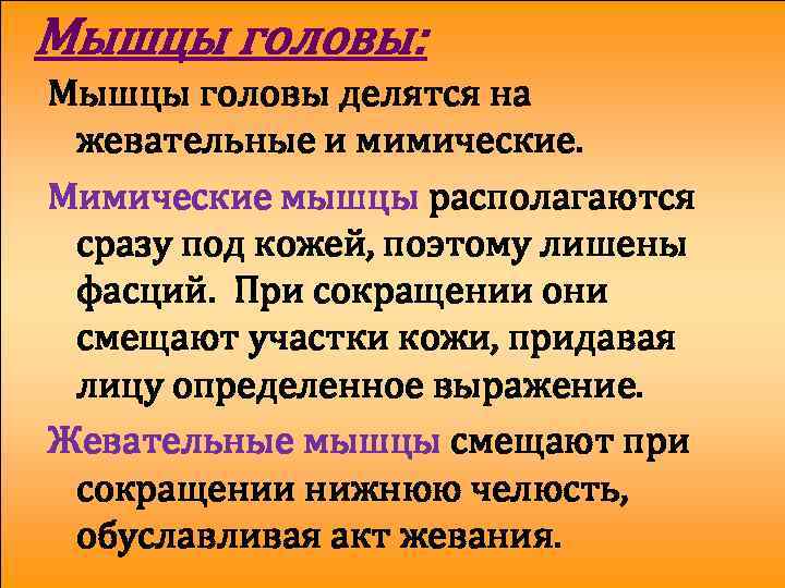 Мышцы головы: Мышцы головы делятся на жевательные и мимические. Мимические мышцы располагаются сразу под