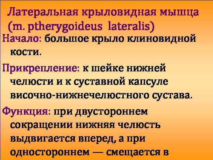 Латеральная крыловидная мышца (m. ptherygoideus lateralis) Начало: большое крыло клиновидной кости. Прикрепление: к шейке