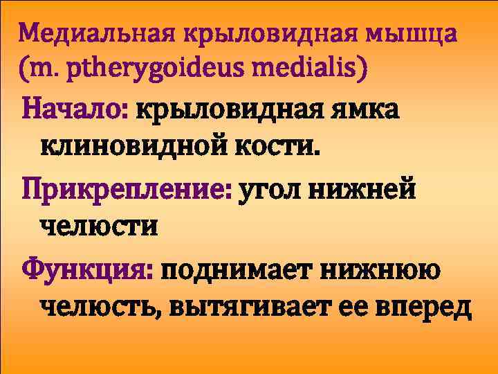 Медиальная крыловидная мышца (m. ptherygoideus medialis) Начало: крыловидная ямка клиновидной кости. Прикрепление: угол нижней