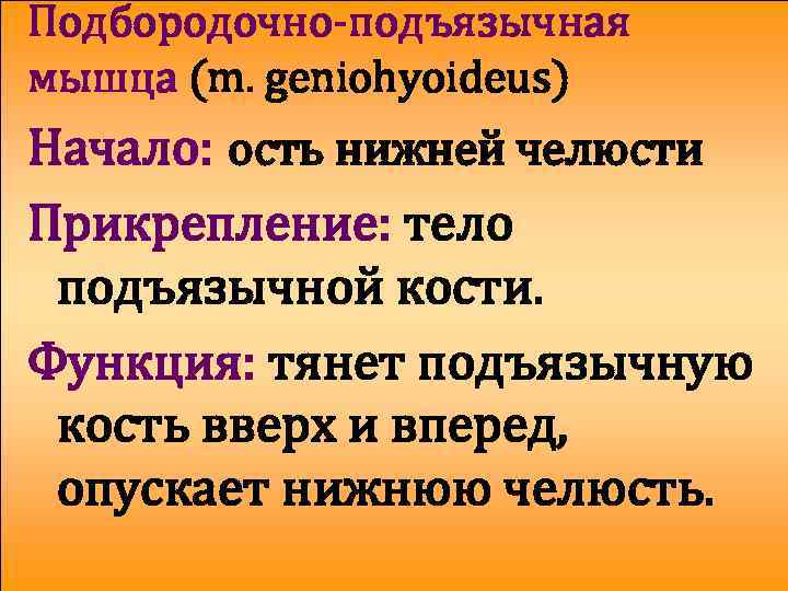 Подбородочно-подъязычная мышца (m. geniohyoideus) Начало: ость нижней челюсти Прикрепление: тело подъязычной кости. Функция: тянет