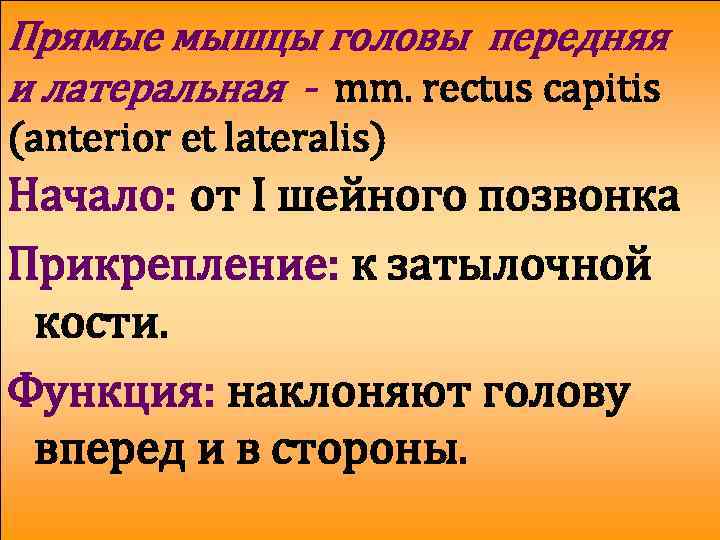 Прямые мышцы головы передняя и латеральная - mm. rectus capitis (anterior et lateralis) Начало: