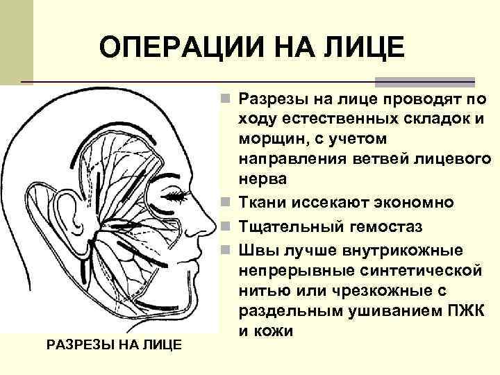 ОПЕРАЦИИ НА ЛИЦЕ n Разрезы на лице проводят по РАЗРЕЗЫ НА ЛИЦЕ ходу естественных