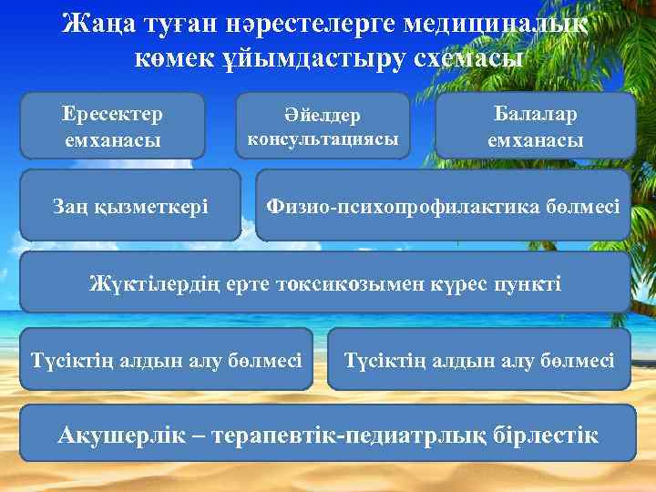 Жаңа туған нәрестелерге медициналық көмек ұйымдастыру схемасы Ересектер емханасы Заң қызметкері Әйелдер консультациясы Балалар