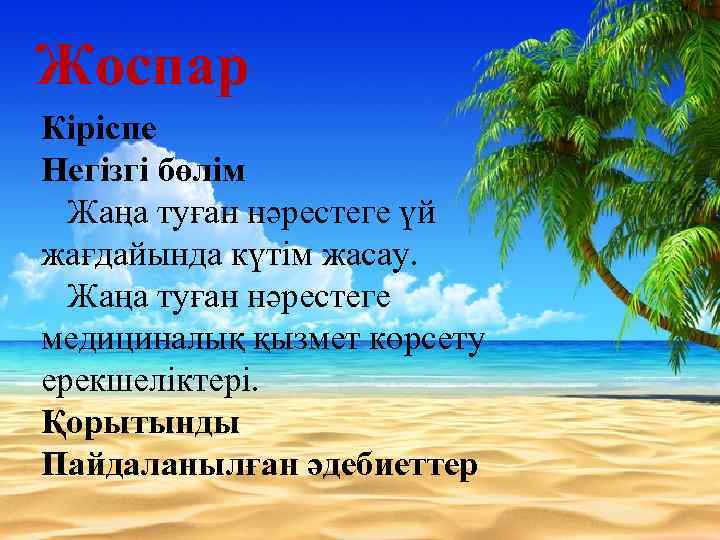 Жоспар Кіріспе Негізгі бөлім Жаңа туған нәрестеге үй жағдайында күтім жасау. Жаңа туған нәрестеге