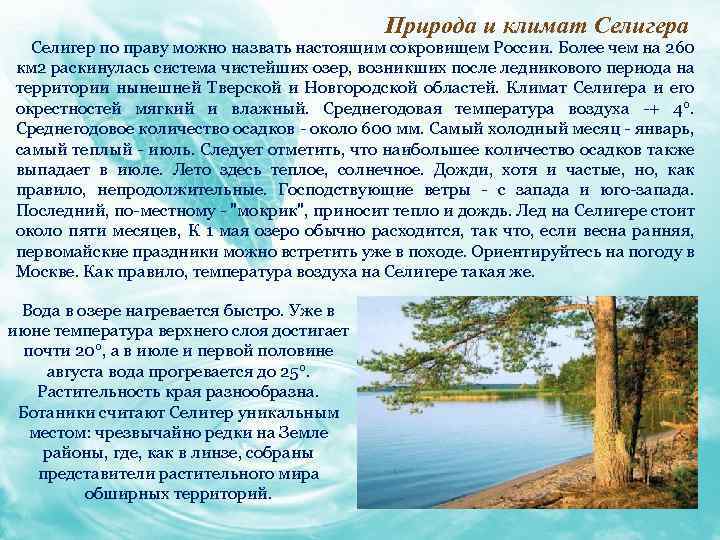 Природа и климат Селигера Селигер по праву можно назвать настоящим сокровищем России. Более чем
