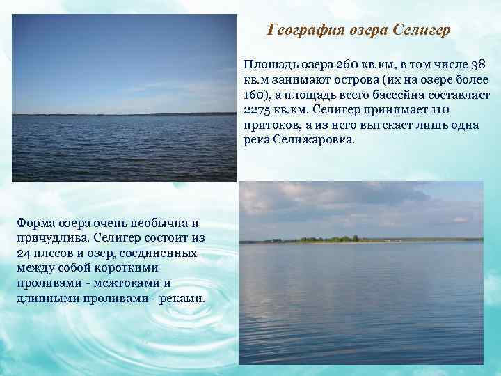 География озера Селигер Площадь озера 260 кв. км, в том числе 38 кв. м