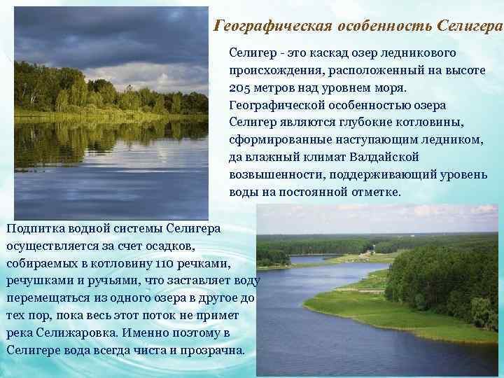 Географическая особенность Селигера Селигер - это каскад озер ледникового происхождения, расположенный на высоте 205