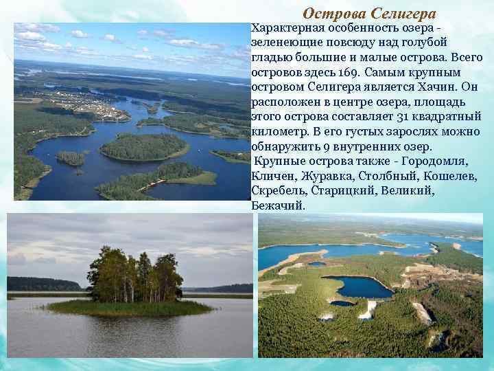 Острова Селигера Характерная особенность озера зеленеющие повсюду над голубой гладью большие и малые острова.
