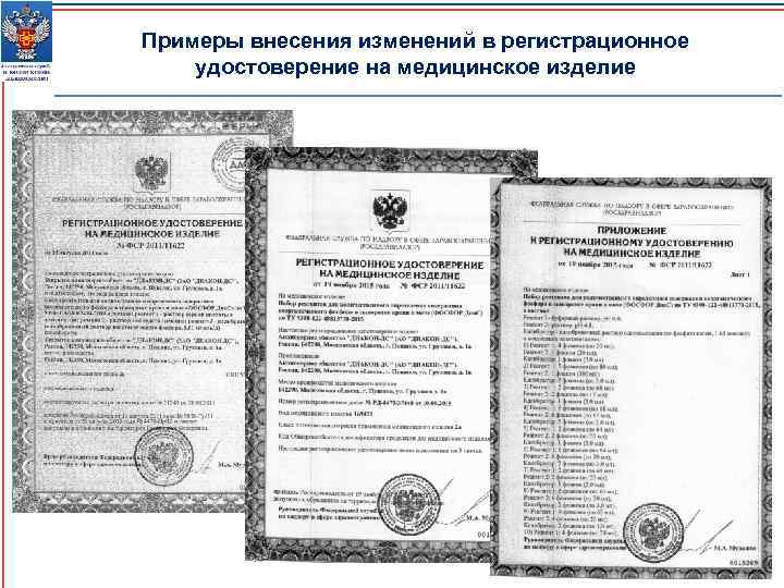 Примеры внесения изменений в регистрационное удостоверение на медицинское изделие 28 