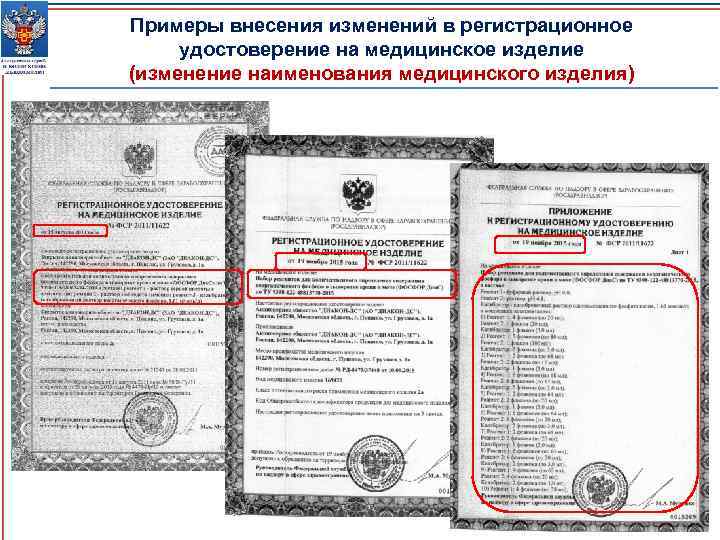 Примеры внесения изменений в регистрационное удостоверение на медицинское изделие (изменение наименования медицинского изделия) 29