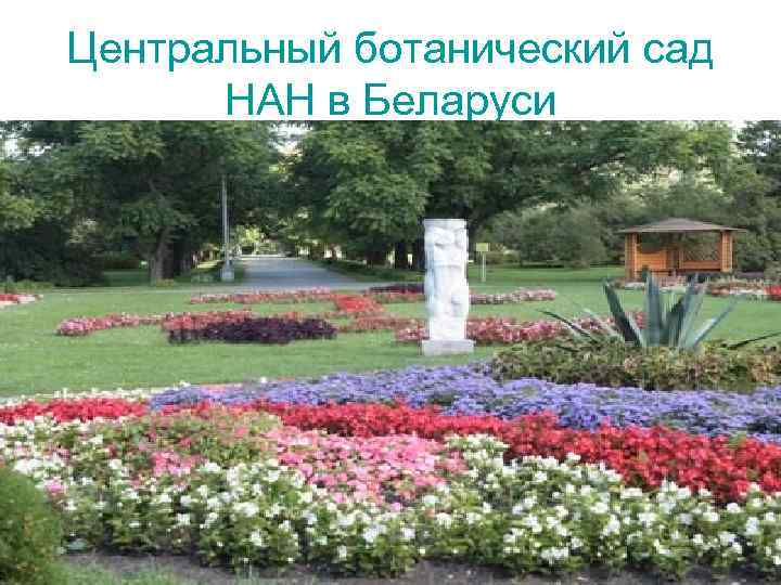 Центральный ботанический сад НАН в Беларуси 