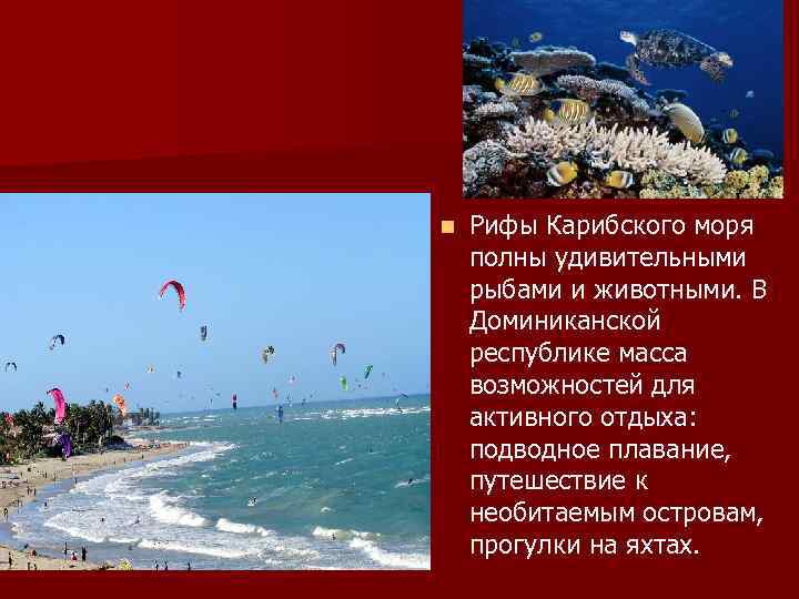 n Рифы Карибского моря полны удивительными рыбами и животными. В Доминиканской республике масса возможностей