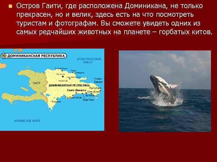 n Остров Гаити, где расположена Доминикана, не только прекрасен, но и велик, здесь есть