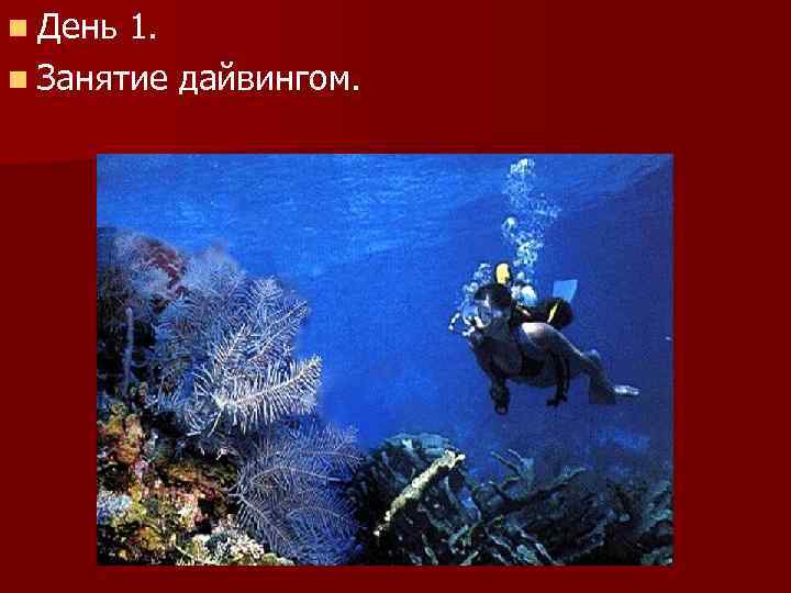n День 1. n Занятие дайвингом. 