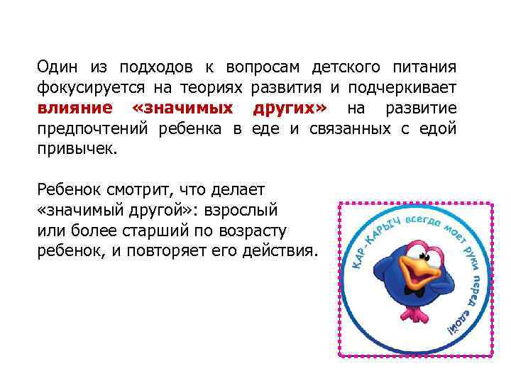 Один из подходов к вопросам детского питания фокусируется на теориях развития и подчеркивает влияние