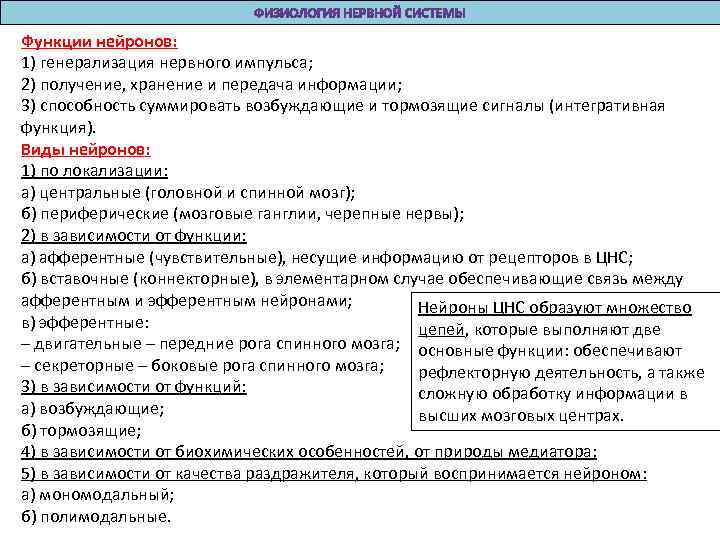 Функции нейронов: 1) генерализация нервного импульса; 2) получение, хранение и передача информации; 3) способность
