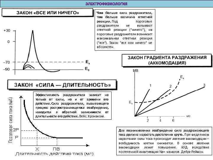 Чем больше сила раздражителя, тем больше величина ответной реакции. Под пороговые раздражители не вызывают