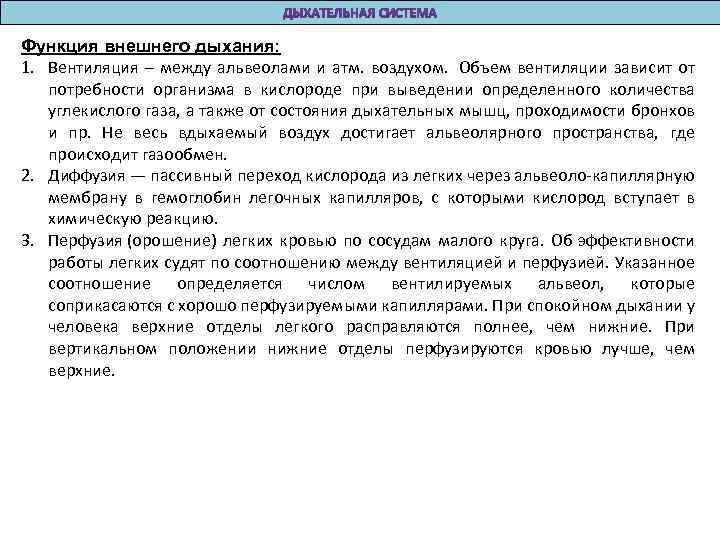 Функция внешнего дыхания: 1. Вентиляция – между альвеолами и атм. воздухом. Объем вентиляции зависит