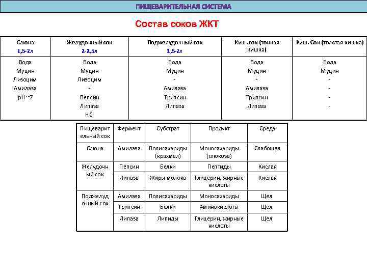 Состав соков ЖКТ Слюна 1, 5 -2 л Желудочный сок 2 -2, 5 л