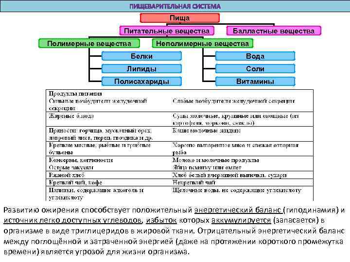 Пища Питательные вещества Полимерные вещества Балластные вещества Неполимерные вещества Белки Вода Липиды Соли Полисахариды