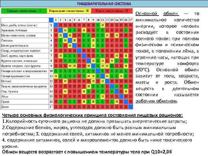Основной обмен — то минимальное количество энергии, которое человек расходует в состоянии полного покоя: