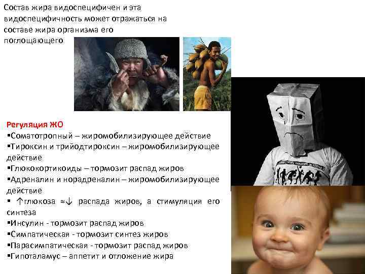 Состав жира видоспецифичен и эта видоспецифичность может отражаться на составе жира организма его поглощающего