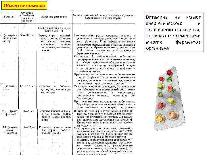 Обмен витаминов Витамины не имеют энергетического и пластического значения, но являются элементами многих ферментов
