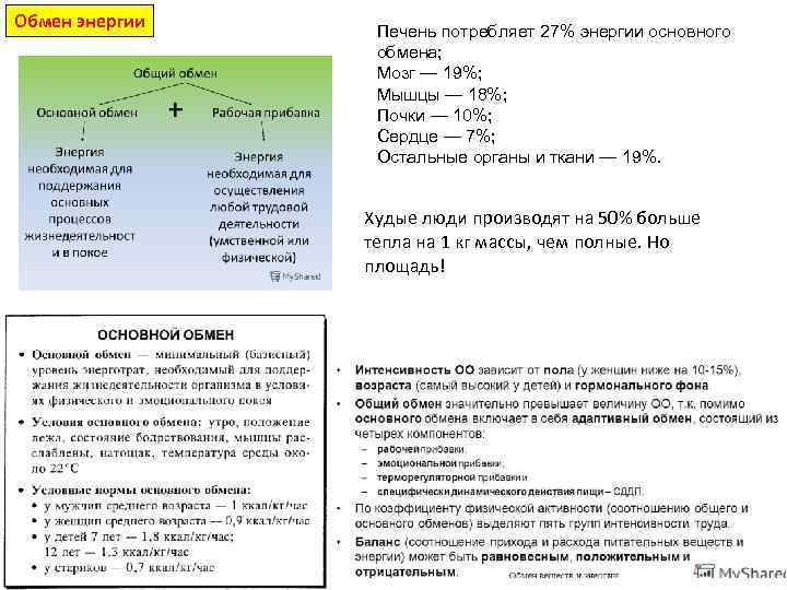 Обмен энергии Печень потребляет 27% энергии основного обмена; Мозг — 19%; Мышцы — 18%;