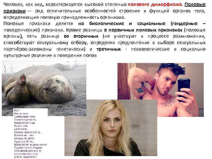 Человек, как вид, характеризуется высокой степенью полового диморфизма. Половые признаки — ряд отличительных особенностей