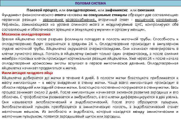Половой процесс, или оплодотворение, или амфимиксис или сингамия Фундамент физиологического ответа человека на сексуальные