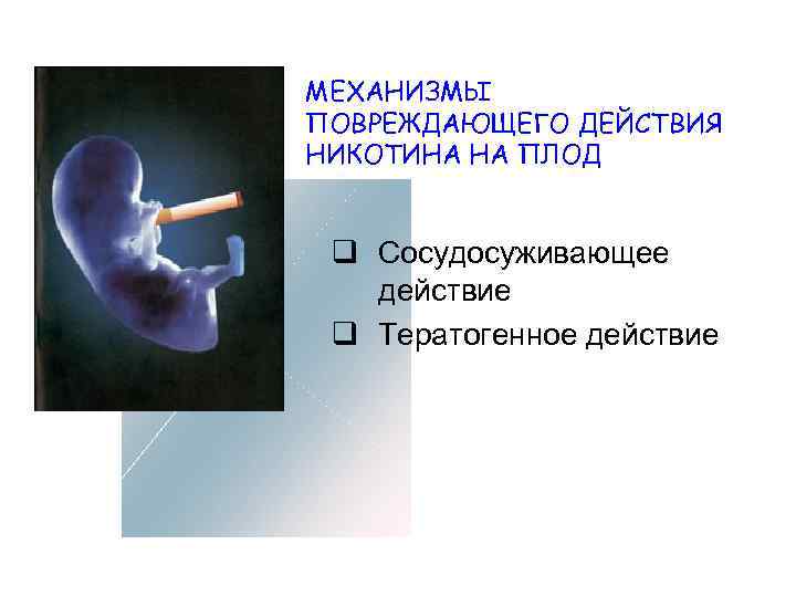 МЕХАНИЗМЫ ПОВРЕЖДАЮЩЕГО ДЕЙСТВИЯ НИКОТИНА НА ПЛОД q Сосудосуживающее действие q Тератогенное действие 