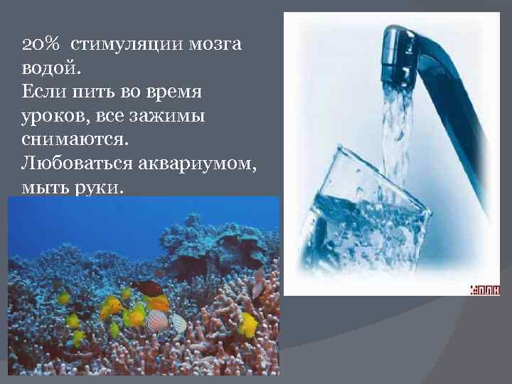 20% стимуляции мозга водой. Если пить во время уроков, все зажимы снимаются. Любоваться аквариумом,