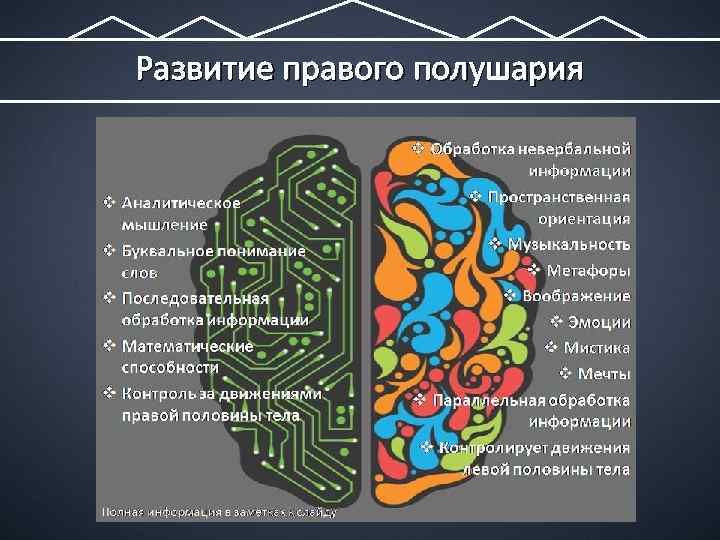 Развитие правого полушария 