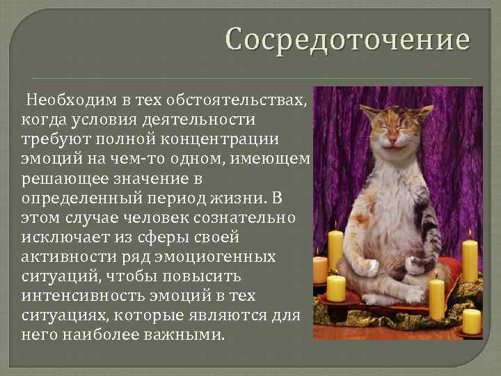 Сосредоточение Необходим в тех обстоятельствах, когда условия деятельности требуют полной концентрации эмоций на чем-то